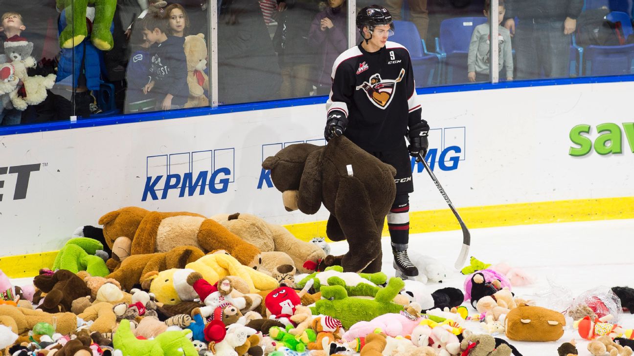 NHL -- How the teddy bear toss became hockey's furriest -- and most fun --  phenomenon