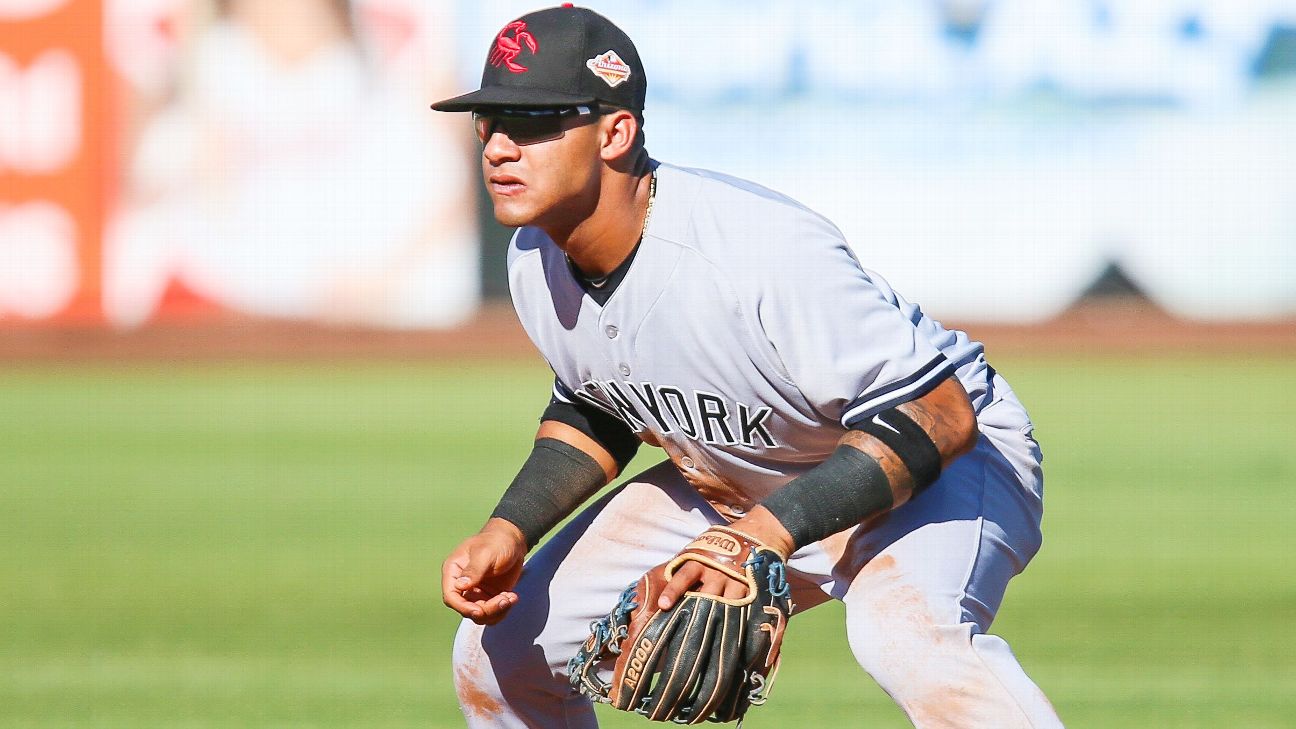 Who Is Gleyber Torres? - Baseball ProspectusBaseball Prospectus