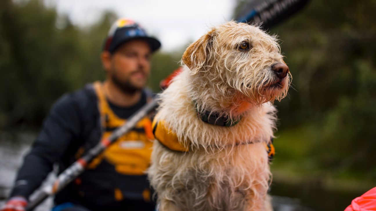 Arthur the Dog completes the 2014 Adventure Racing World