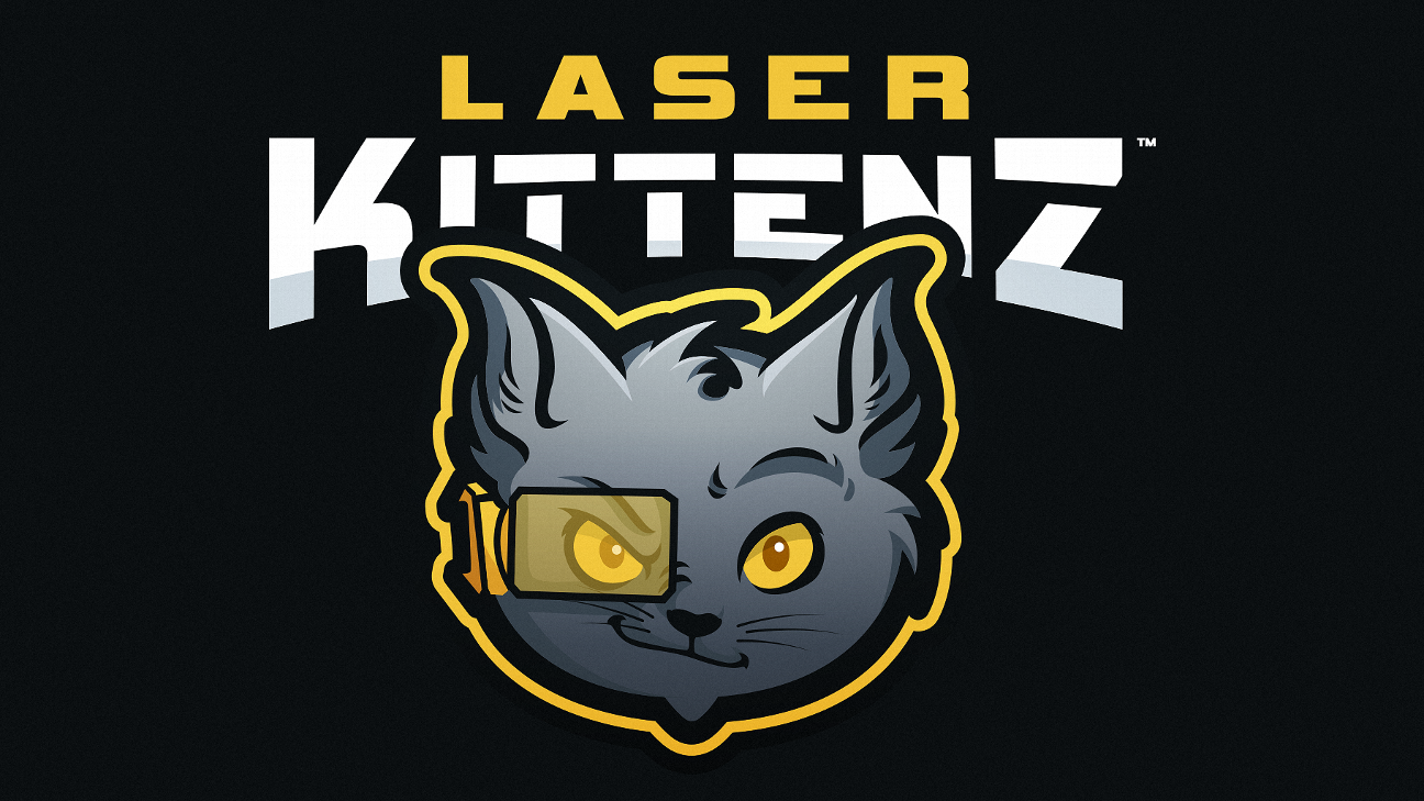 uitlijning shuttle Edelsteen Former Misfits GM launches new Overwatch team Laser Kittenz