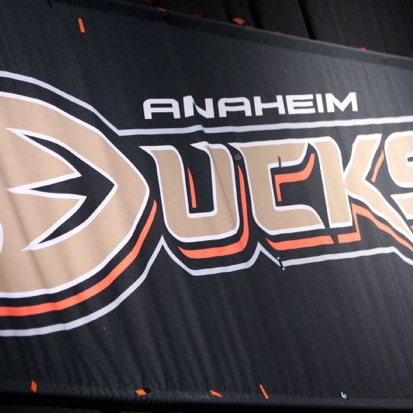 Wings-Ducks ppd. hours before scheduled game