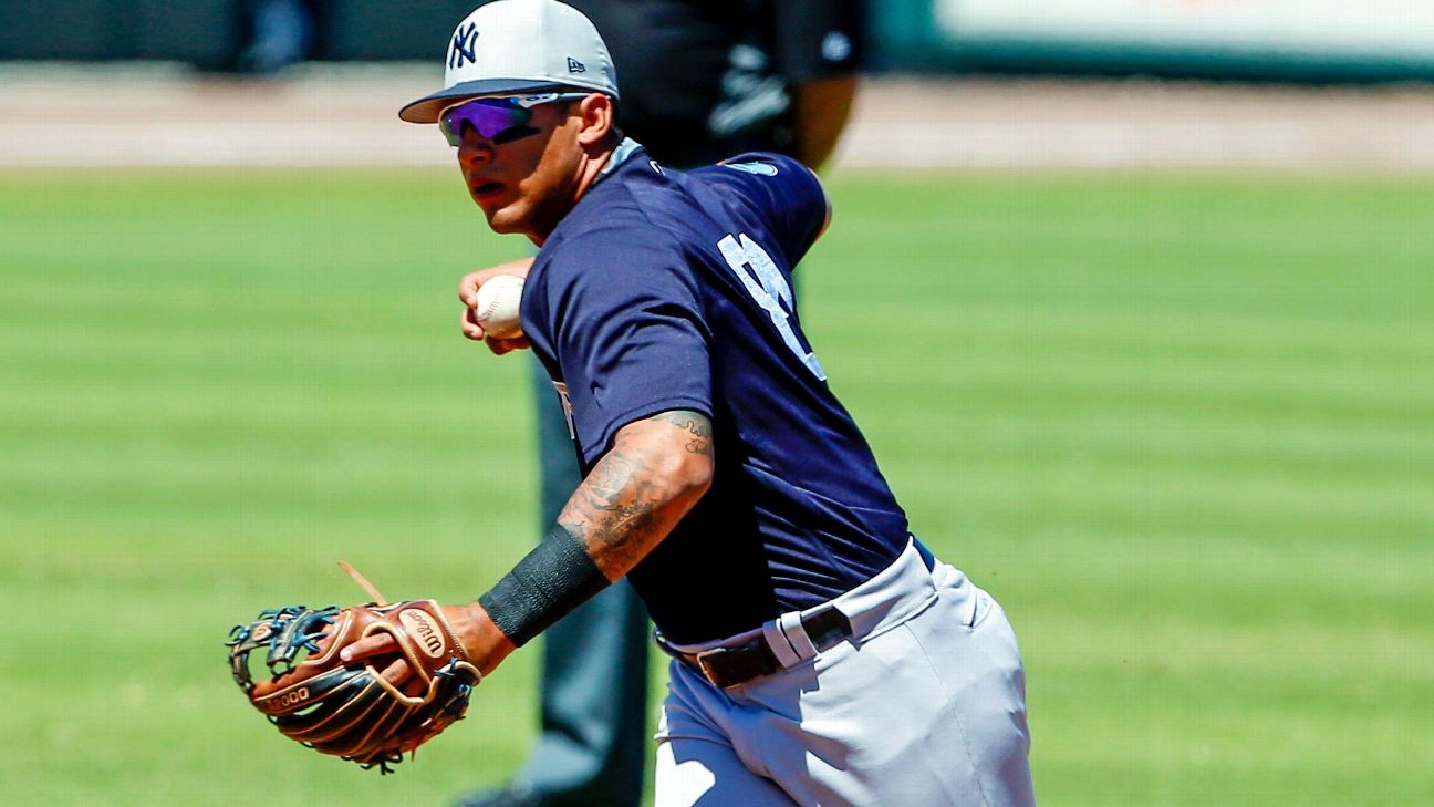 Top New York Yankees prospect Gleyber Torres injures left elbow