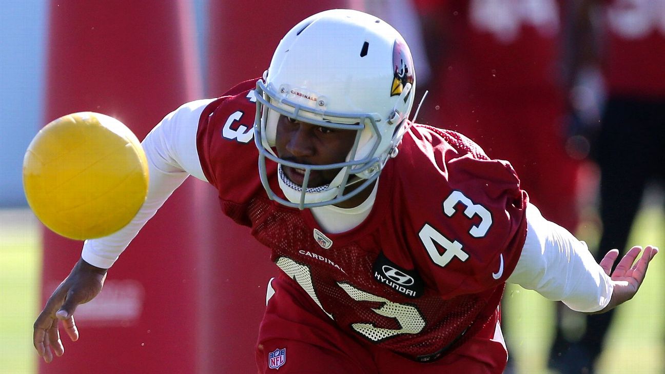 Arizona Cardinals outside linebacker Haason Reddick (43) lines up