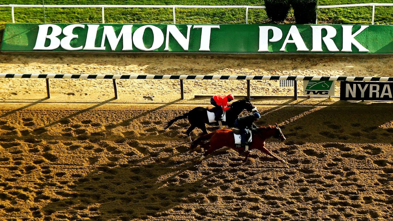 CBS Sports Belmont Stakes 2023 Expert Picks & Predictions