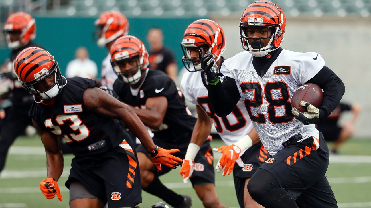 Brandon Wilson: Cincinnati Bengals defensive back in town for camp