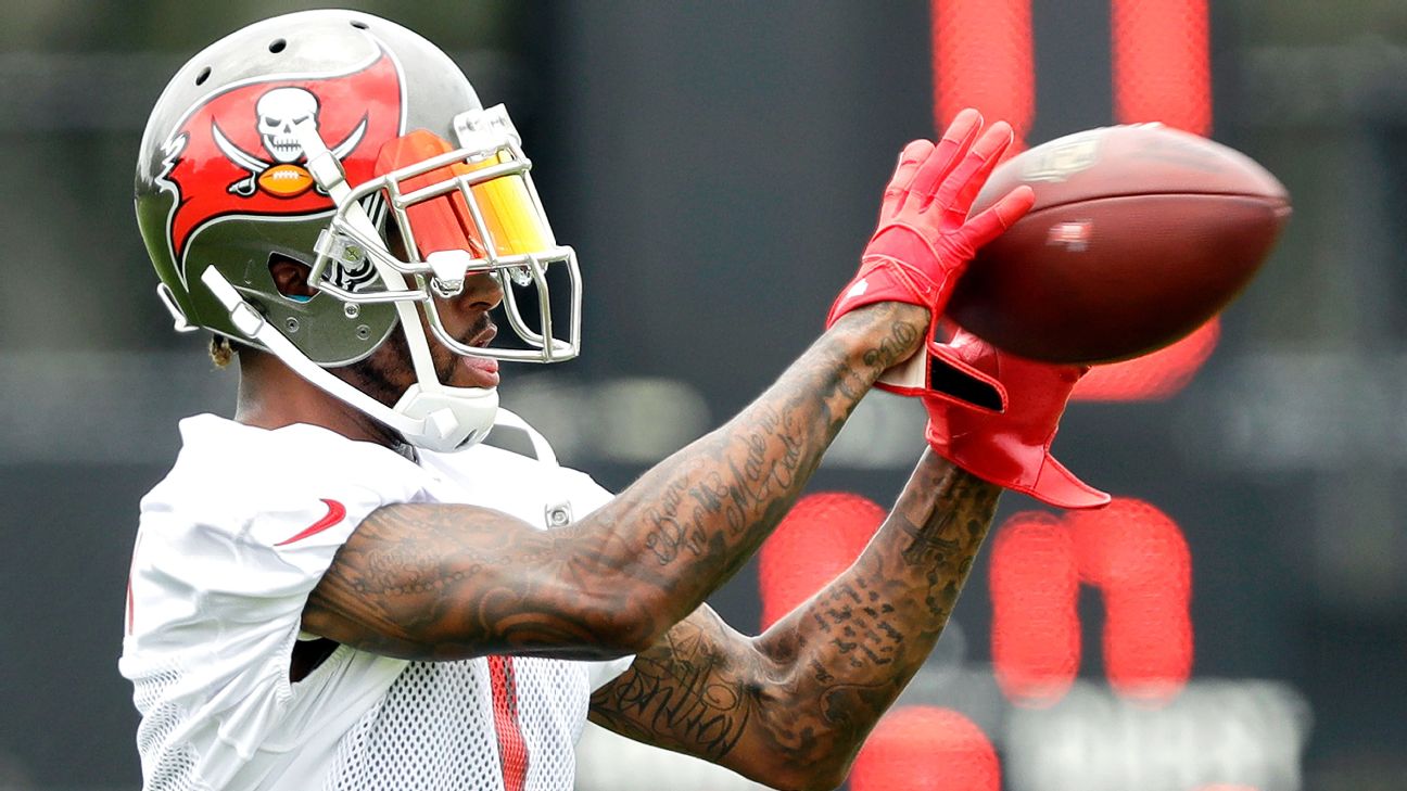 Las Vegas Raiders sign speedy wide receiver Desean Jackson