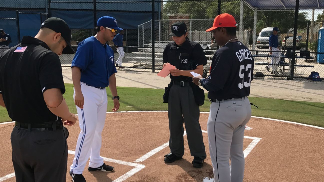 Minor league umpires are getting better perks in their new CBA