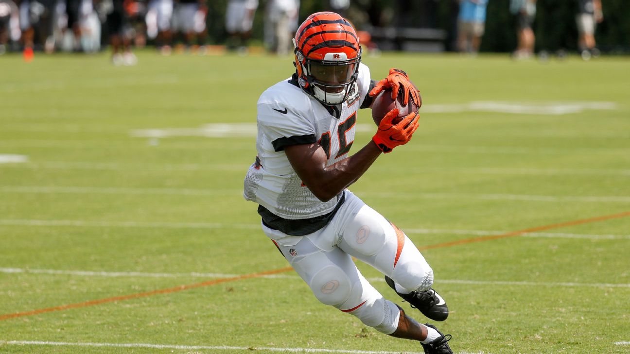 Marvin Lewis says John Ross let the Bengals down 