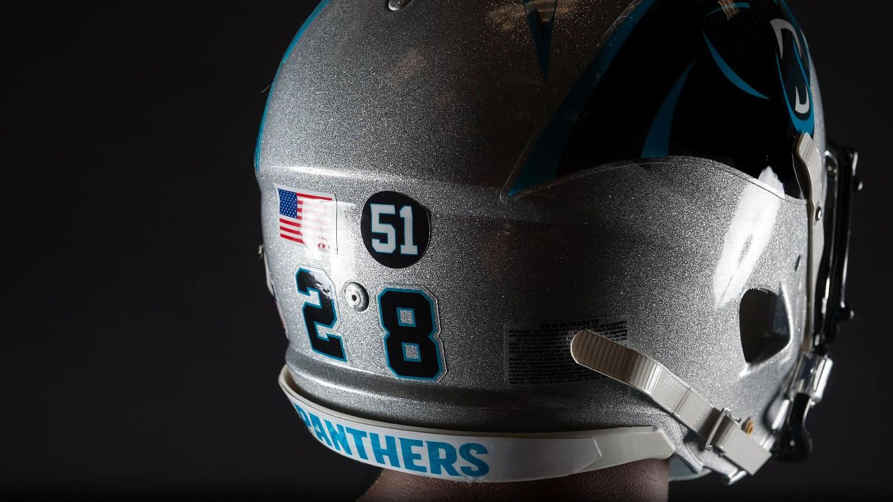 carolina panthers motorcycle helmet