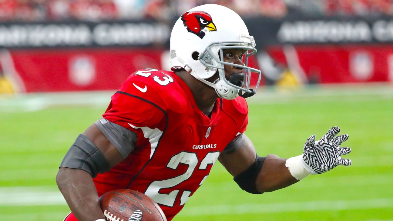 Adrian Peterson to miss rest of Cardinals' season due to neck injury