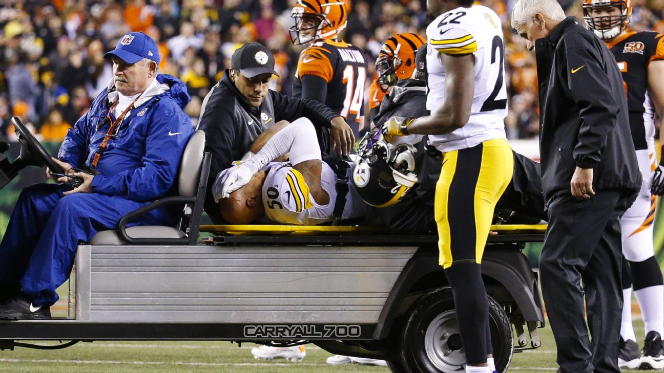 Ryan Shazier and Vince Williams, Brothers On and Off the Field