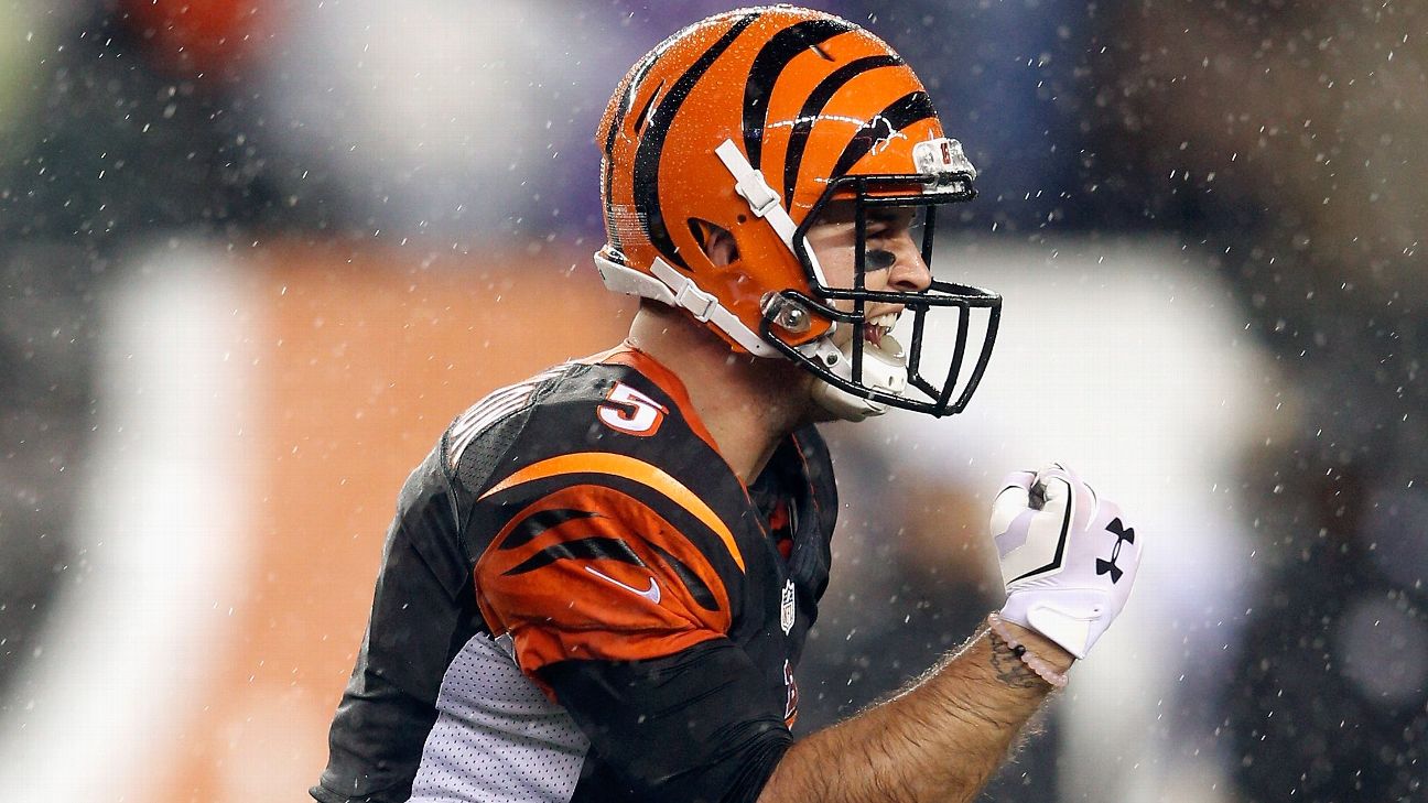 Bengals add QB A.J. McCarron to practice squad