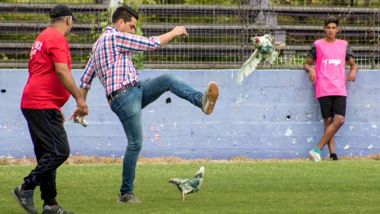 Uruguayan club Fenix handed sanction after chicken kicking fiasco