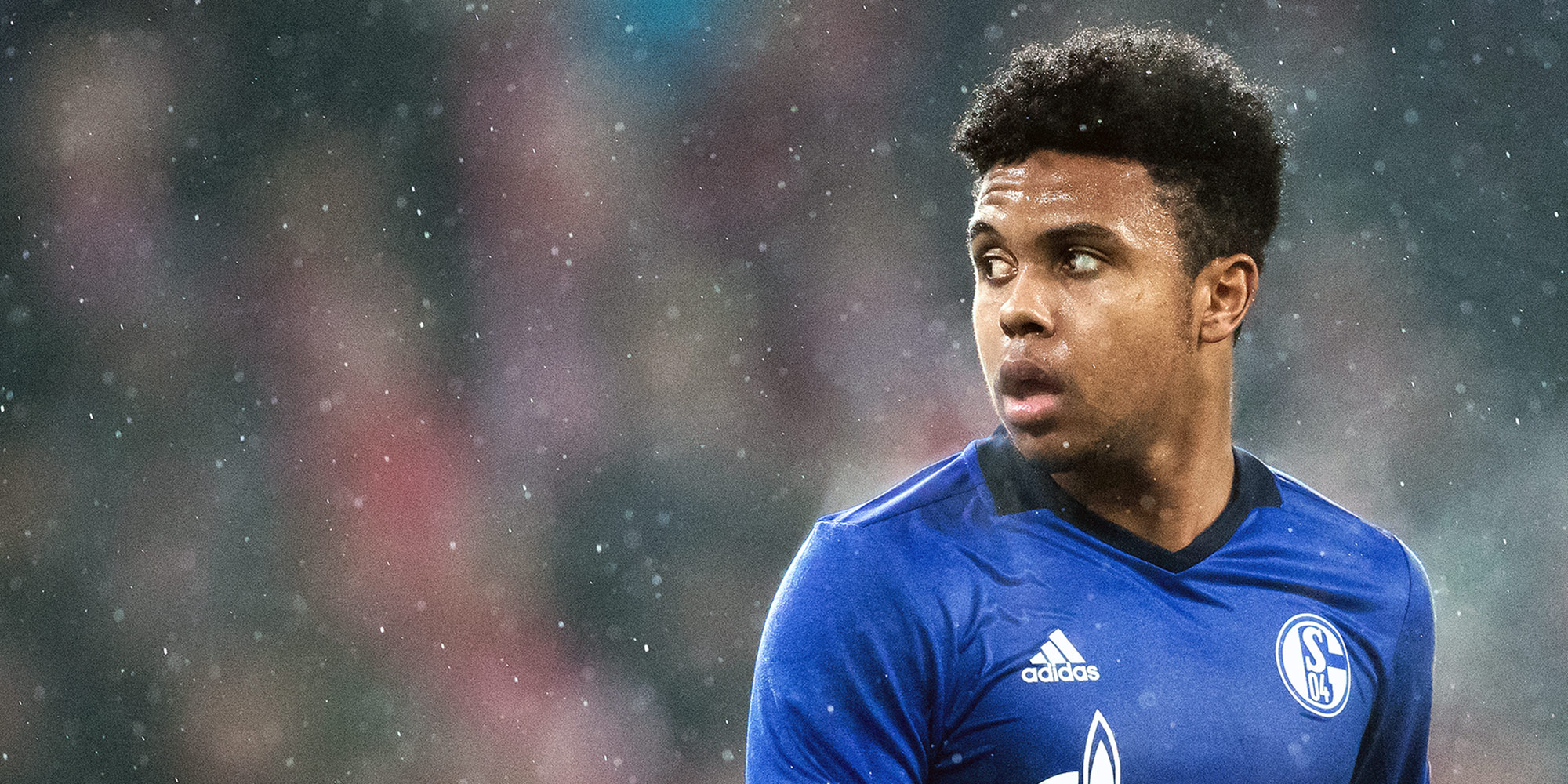 Weston mckennie hot sale schalke jersey