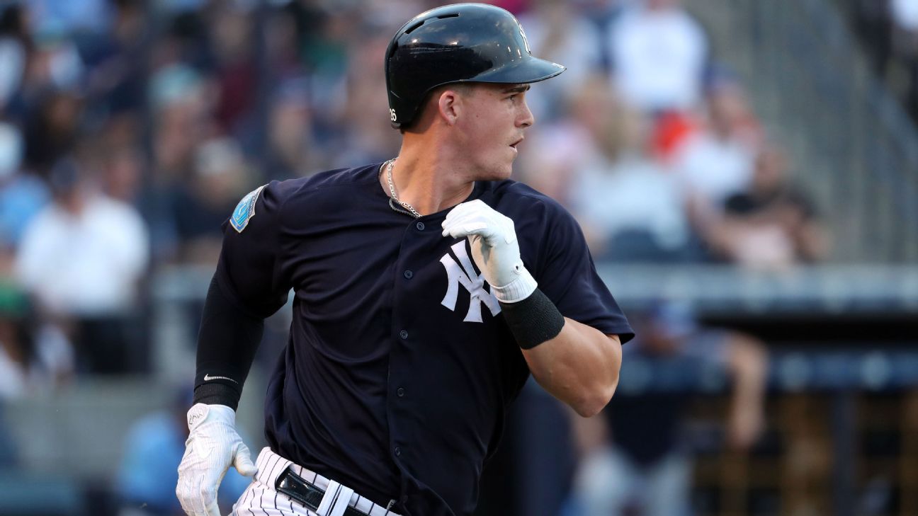 New York Yankees: Options to replace Greg Bird at first base