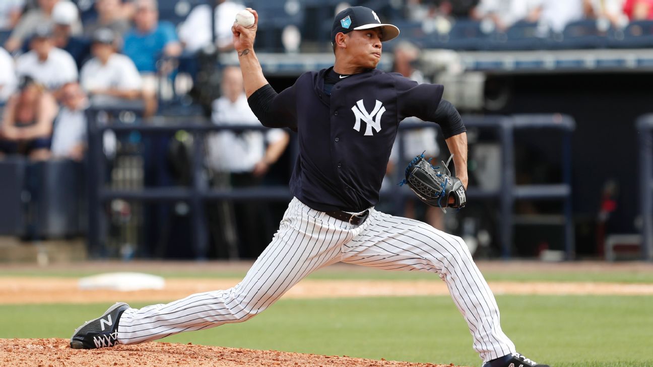 Thoughts on New York Yankees rookie Jonathan Loaisiga - Minor