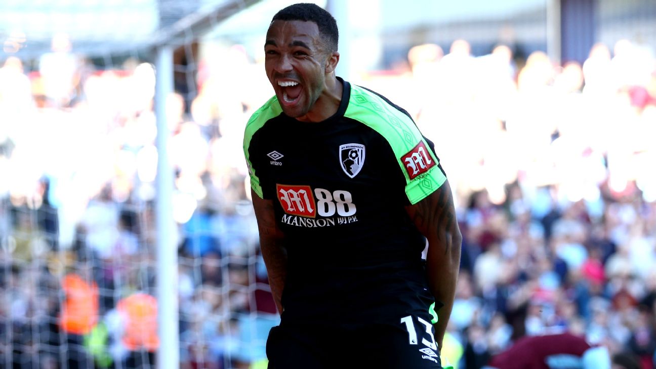 Bournemouth claim first win of season as Callum Wilson sinks West Brom, Premier League