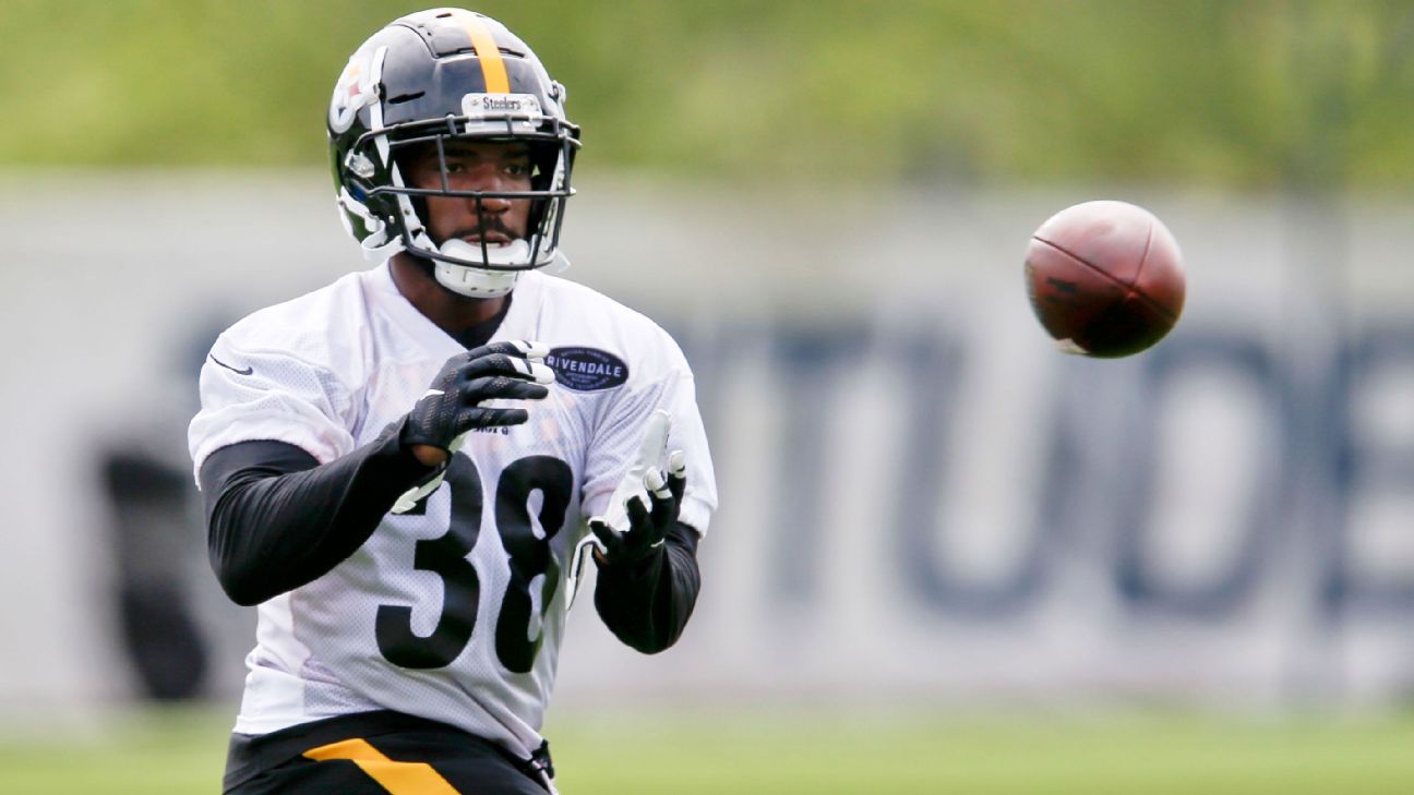 Pittsburgh Steelers running back Jaylen Samuels (38) carries the