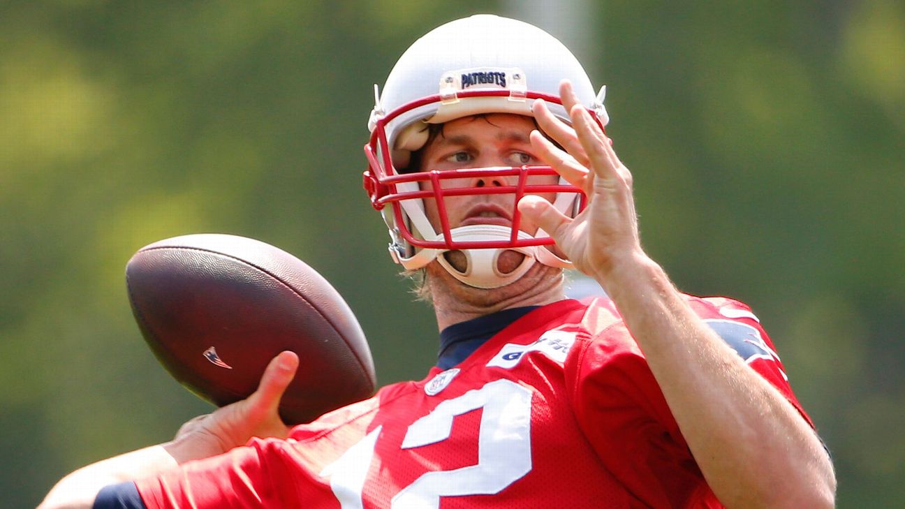 Rob Ninkovich discussed Tom Brady's decision to return to football