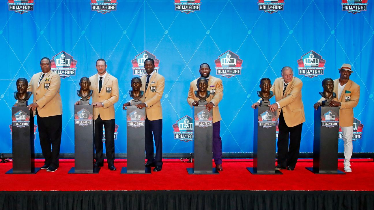 Terrell Owens finally gets into the NFL Hall of Fame - Blogging The Boys