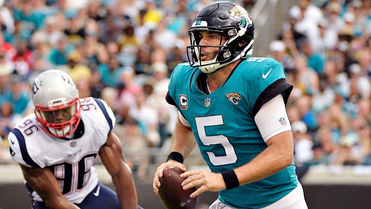 Blake Bortles Carves Up the Jets in Jaguars' Win - The New York Times