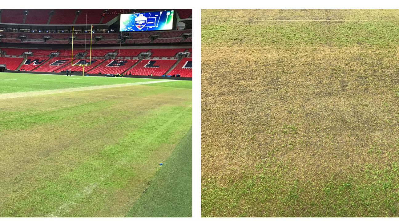 Tottenham vs Man City: Wembley pitch condition slammed by football fans  ahead of second NFL match