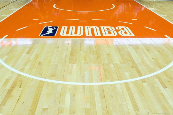 Crypto group says it orchestrated sex toy tosses in WNBA games