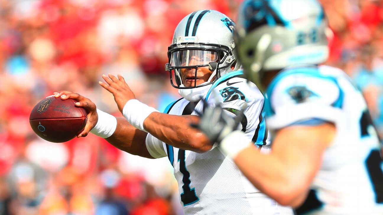 Newton leads Carolina Panthers over Houston Texans 24-17