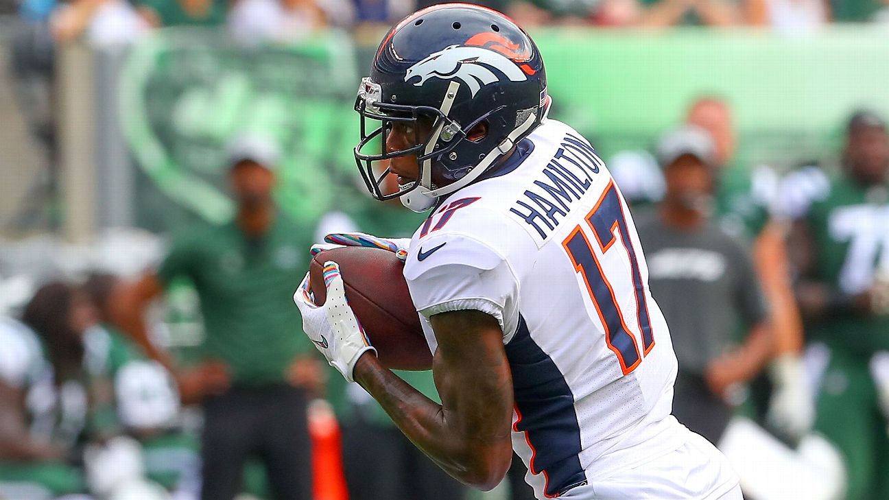 Denver Broncos WR DaeSean Hamilton tears knee ligament in workout