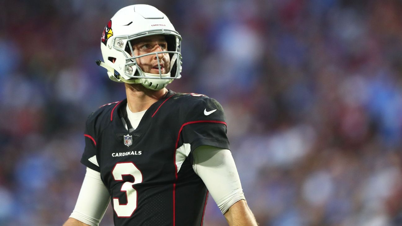 Why Sam Bradford didn't work out as the Cardinals' QB - ESPN - Arizona  Cardinals Blog- ESPN