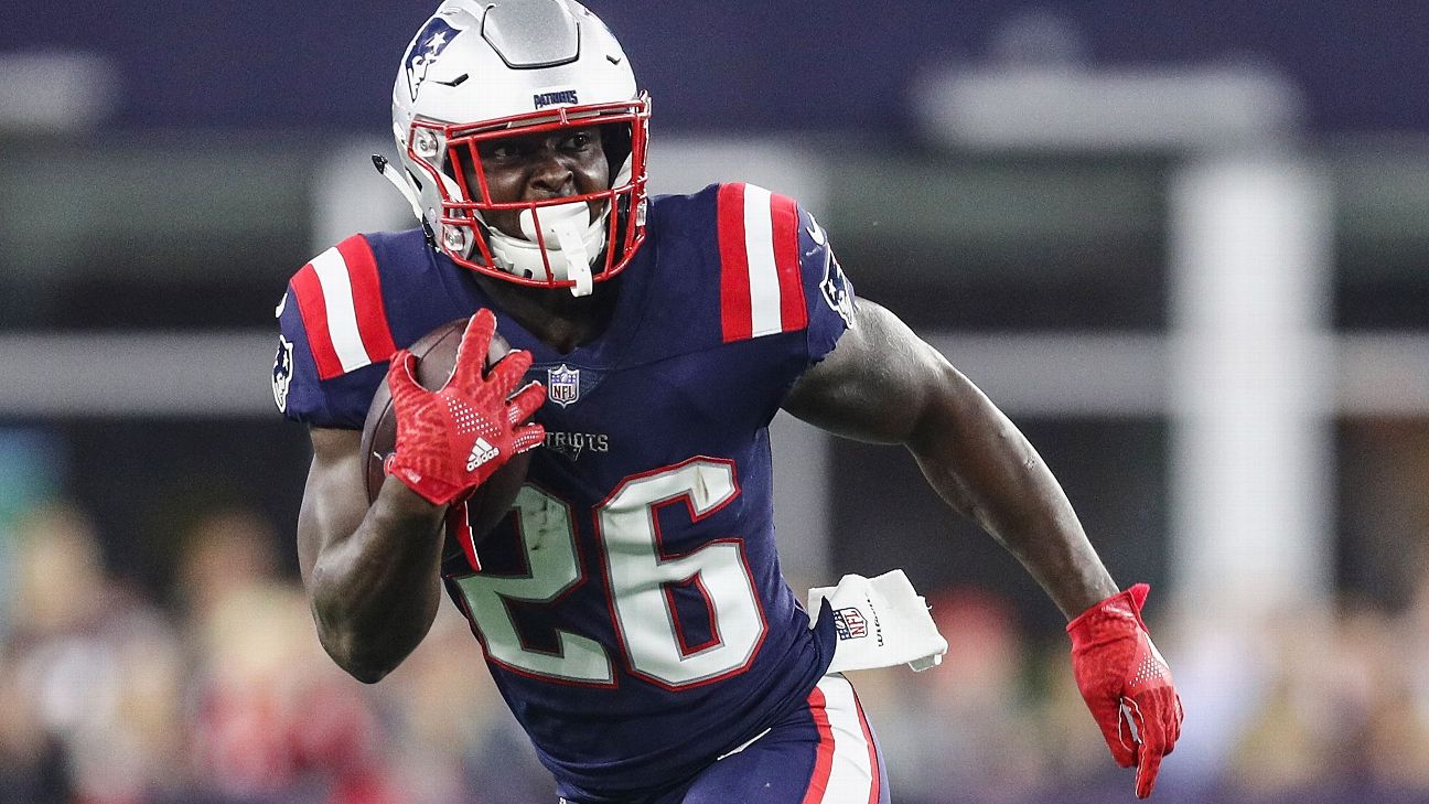Patriots' Super Bowl journey brings Sony Michel's mother to tears ...