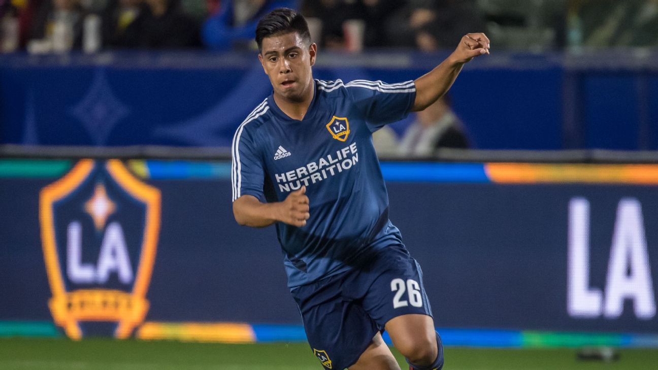 Ibrahimovic: Galaxy's 16-year-old forward Efrain Alvarez is 'ready'