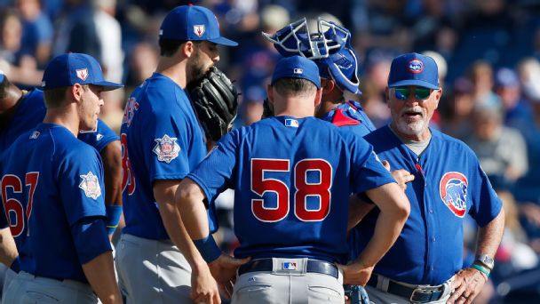 Chicago cubs are gay