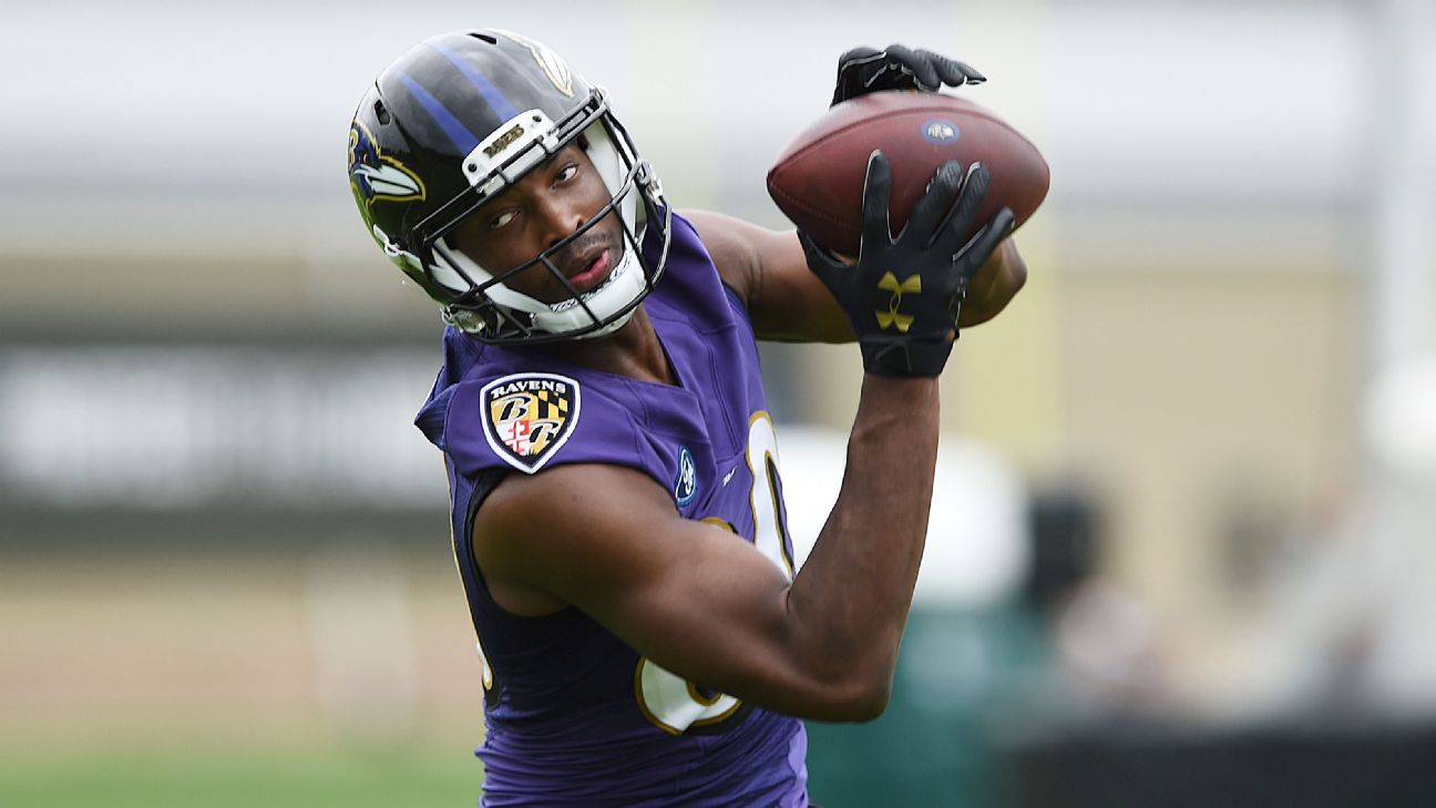 Baltimore Ravens playing time takeaways: No limits on Marquise