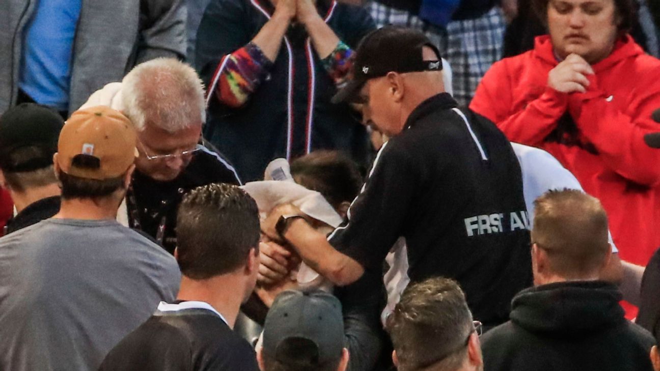 Fan struck by foul ball at White Sox-Nationals game, taken to hospital for  observation