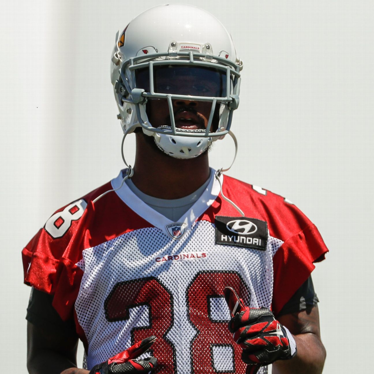 David Amerson - NFL News, Rumors, & Updates