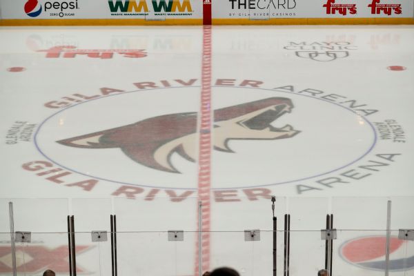 Coyotes sign Hayton to 2-year deal before camp