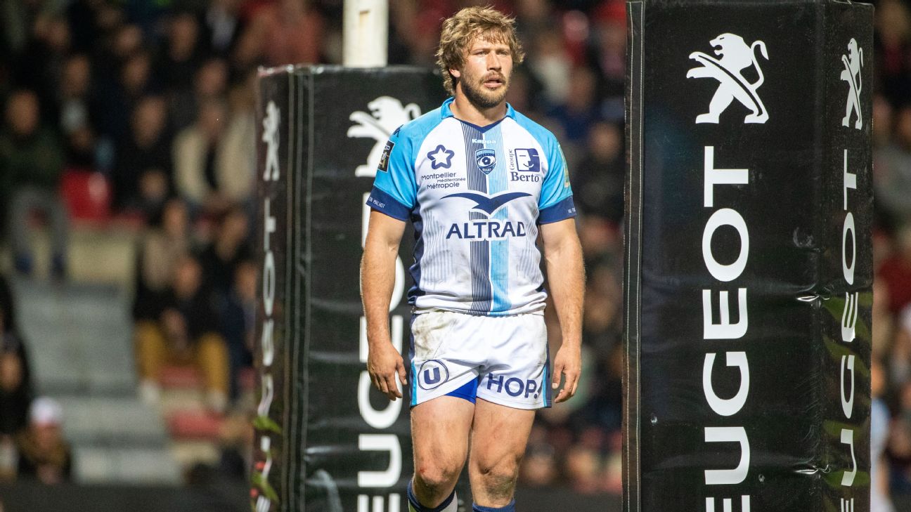 Frans Steyn Feature Name In Springboks Alignment Camp