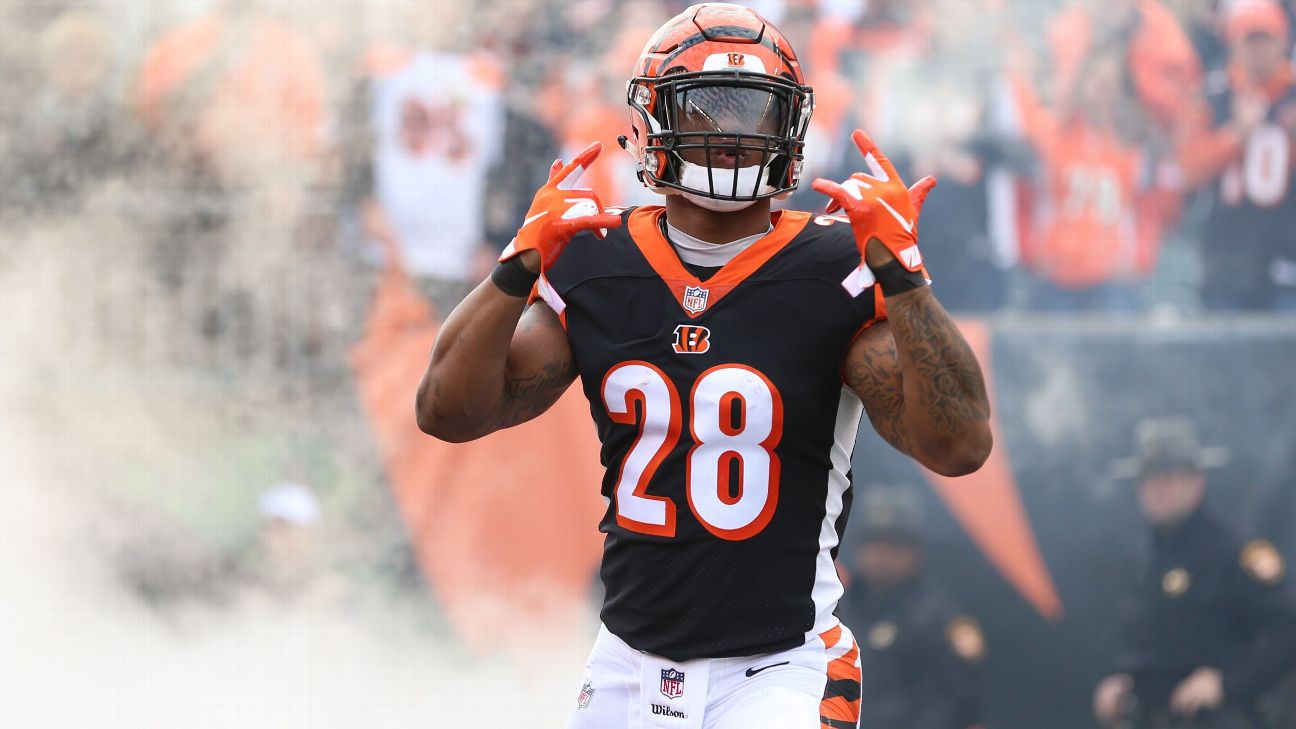 Joe Mixon Fantasy Projections: Should You Draft Mixon in Fantasy