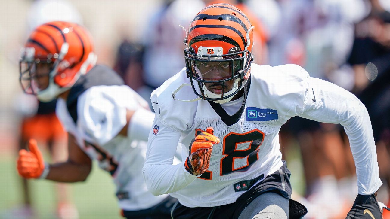 Bengals WR AJ Green expected to miss multiple games in 2019 season