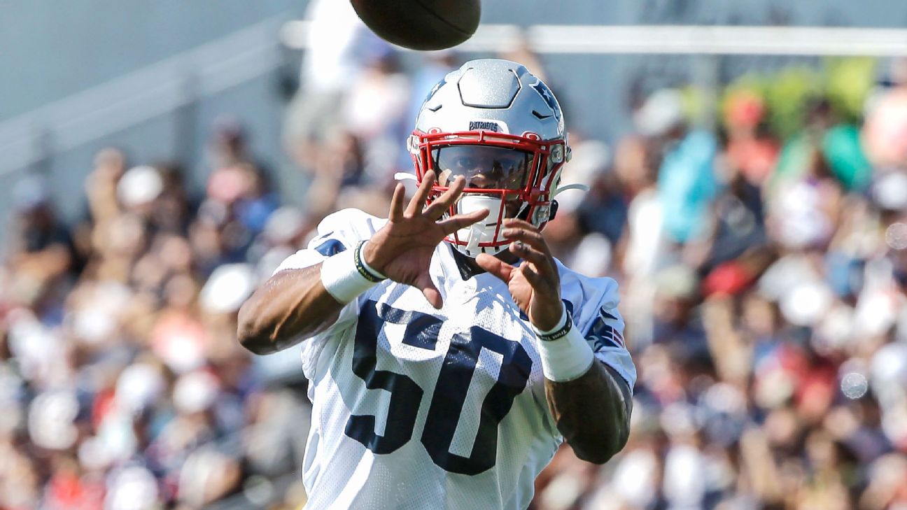 Patriots rookie WR N'Keal Harry activated from IR, can play vs. Ravens -  ESPN