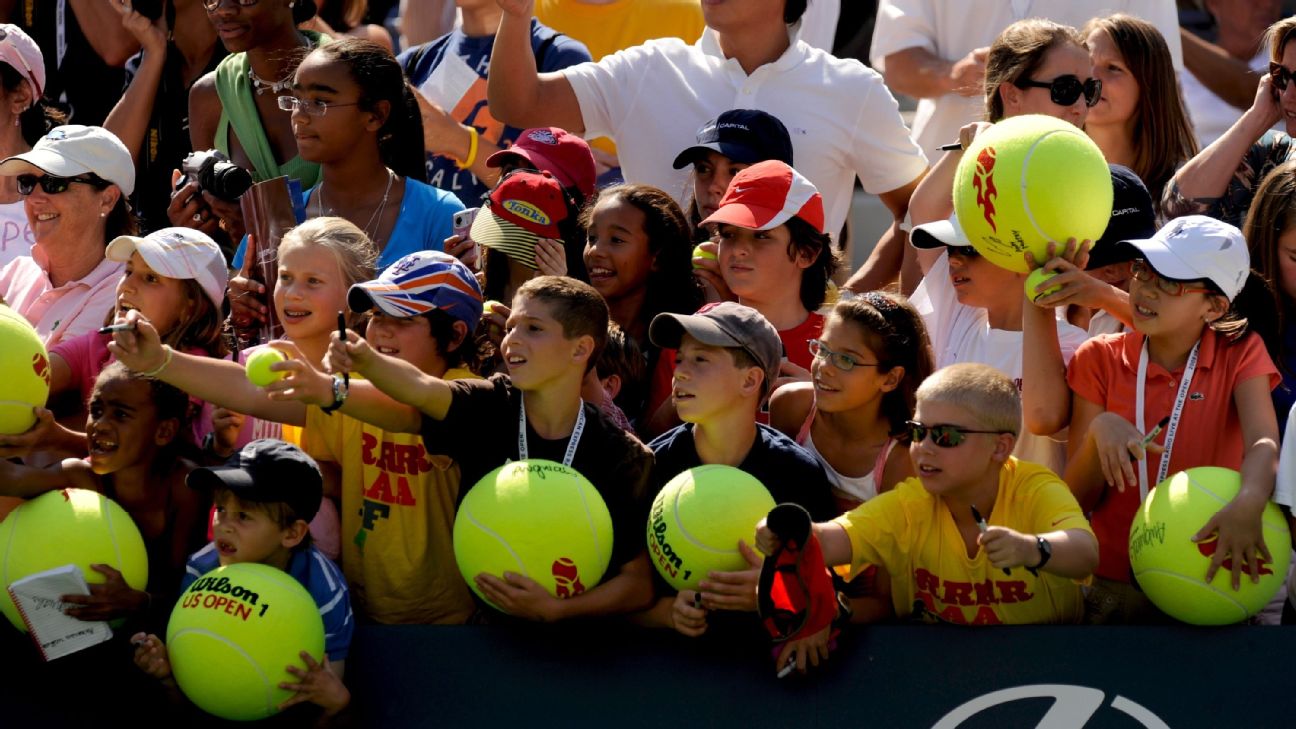 Preços baixos em Roger Federer Bolas de Tênis Autografada