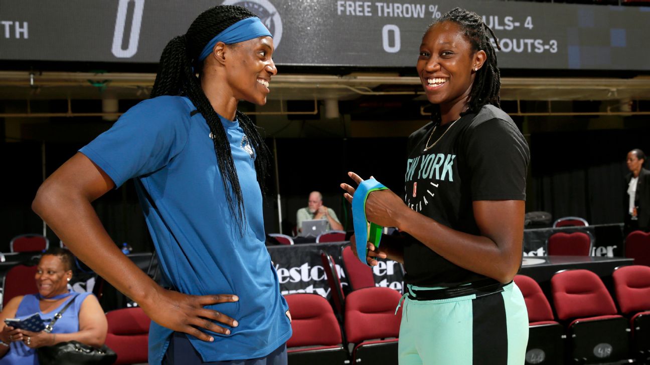 Wnba Napheesa Collier And Arike Ogunbowale To Lead Group Of