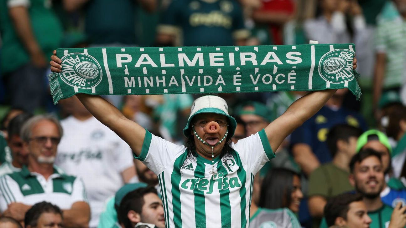 Torcedor do Palmeiras paga R$ 20 mil para assistir à final do