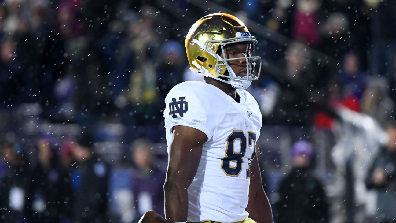 notre-dame-wr-michael-young-has-entered-transfer-portal-abc7-chicago