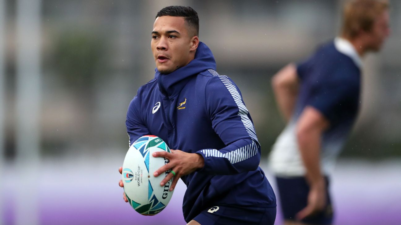 Springboks Welcome Cheslin Kolbe Back For Rugby World Cup Final