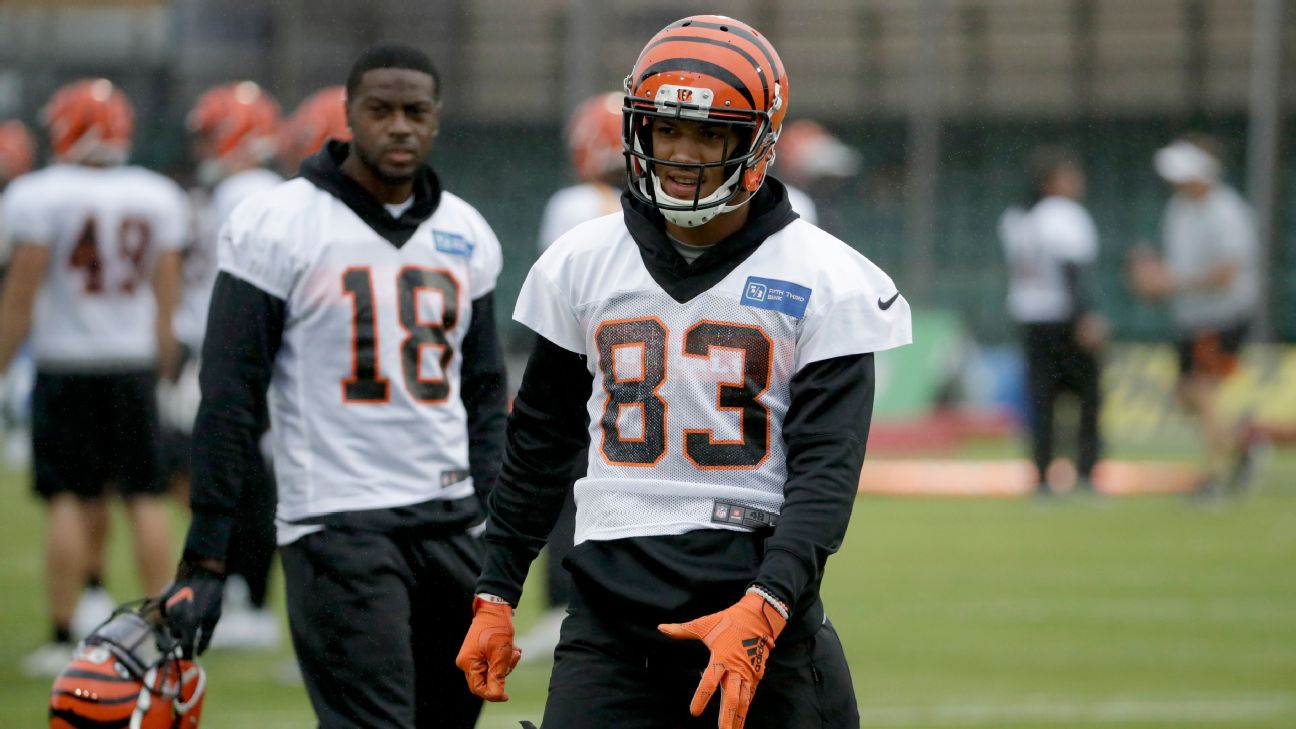 Bengals' top plays: John Taylor's catch - ESPN - Cincinnati Bengals Blog-  ESPN