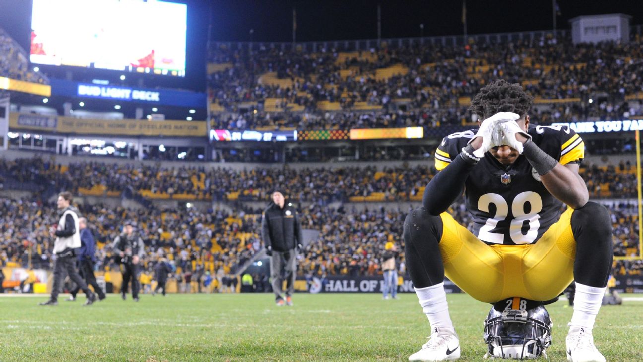 Steelers, Ravens carry slim playoff hopes into finale