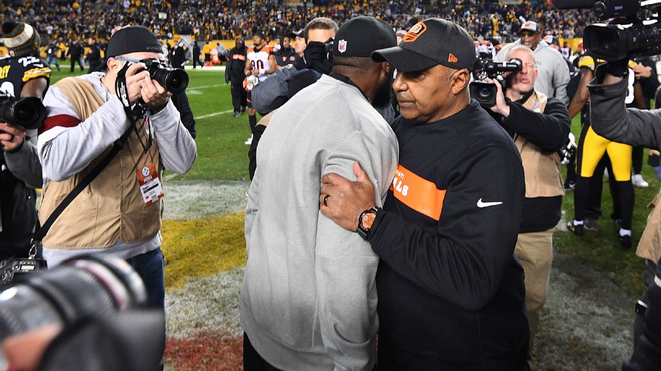 Marvin Lewis says Bengals have 'young guys who are going to do some good  things'