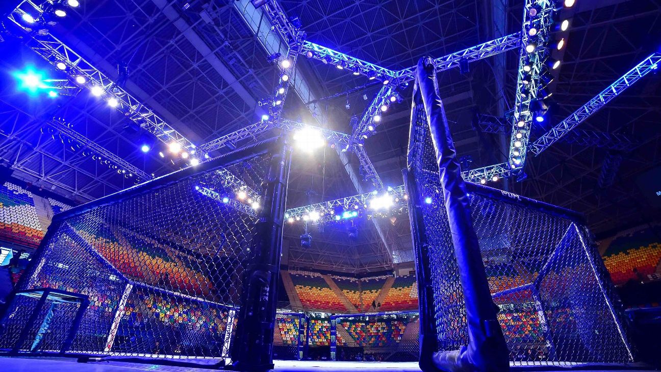 UFC to implement fan-voted bonuses to be paid out in bitcoin - ESPN